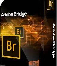 Adobe Bridge 2024 (v14.0.1) Multilingual Full Version Download